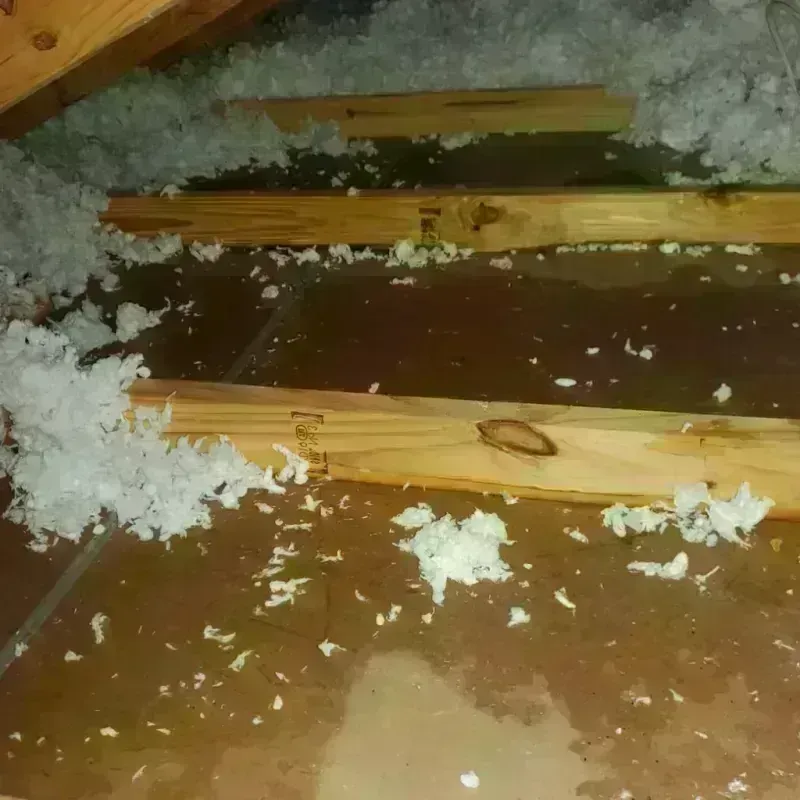 Attic Water Damage in Stapleton, NY